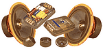 CDT Audio ES-62i Eurosport Gold 6.5"