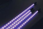 LiteGlow LED Underbody Kits