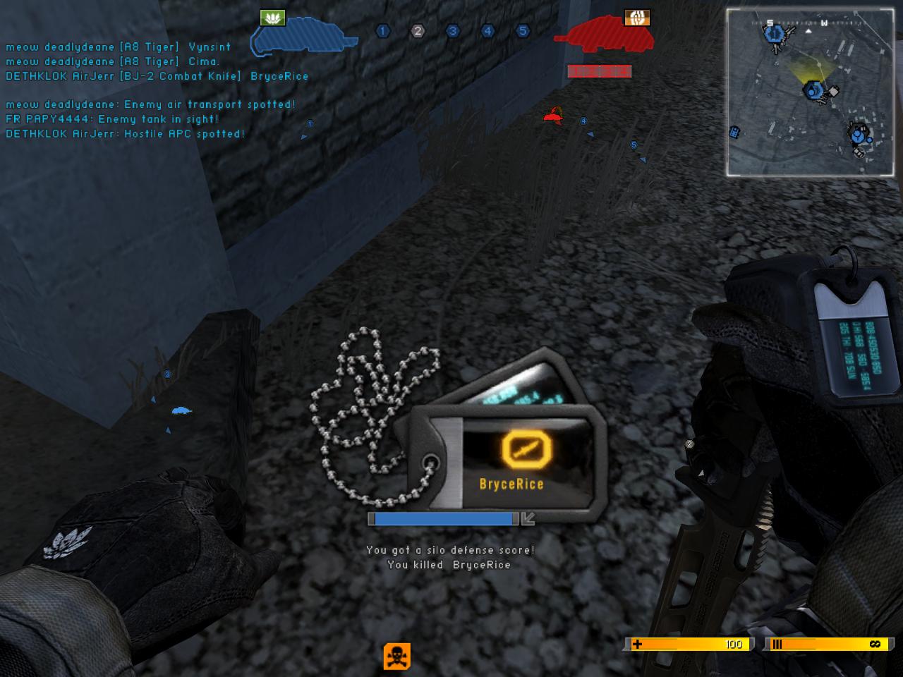 brycerice dog tags
